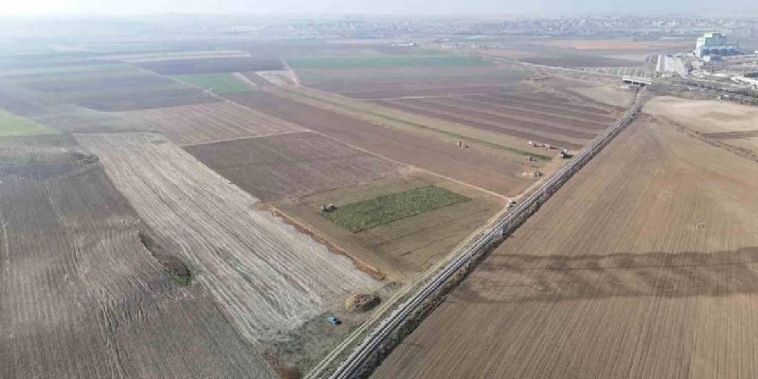 Gün doğmadan tarlaya giriyor, son ürünleri topluyorlar! Ankara’da hasat sürüyor: Alım ve fiyat garantisi umut oluyor 5